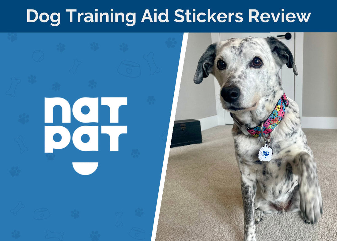 Expert Review: Hepper Puts NATPAT Dog Training Aid Stickers to the Test
