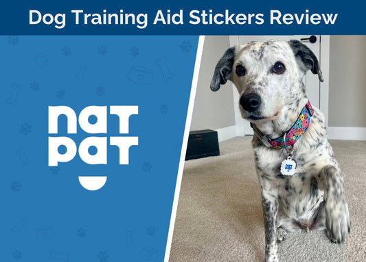 Expert Review: Hepper Puts NATPAT Dog Training Aid Stickers to the Test
