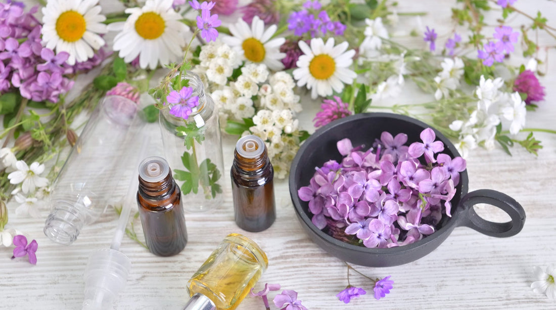 The Effectiveness of Lavender and Roman Chamomile Essential Oils for Sleep Improvement