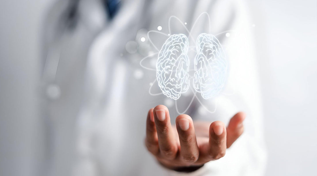 The Neuroscience of Olfactory-Limbic Interactions: Mechanisms and Therapeutic Effects of Essential Oil Inhalation