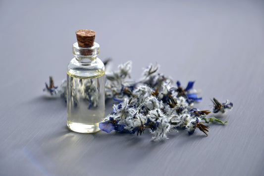 Natural Bug Repellent: Nine Natural Ways To Get Bug Resistant