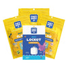3 Packs of Pet Flea Repellent Stickers + 1 Pet Locket