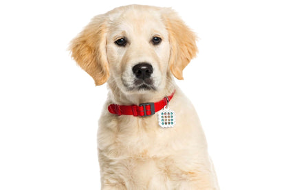 Pet Flea Repellent Stickers